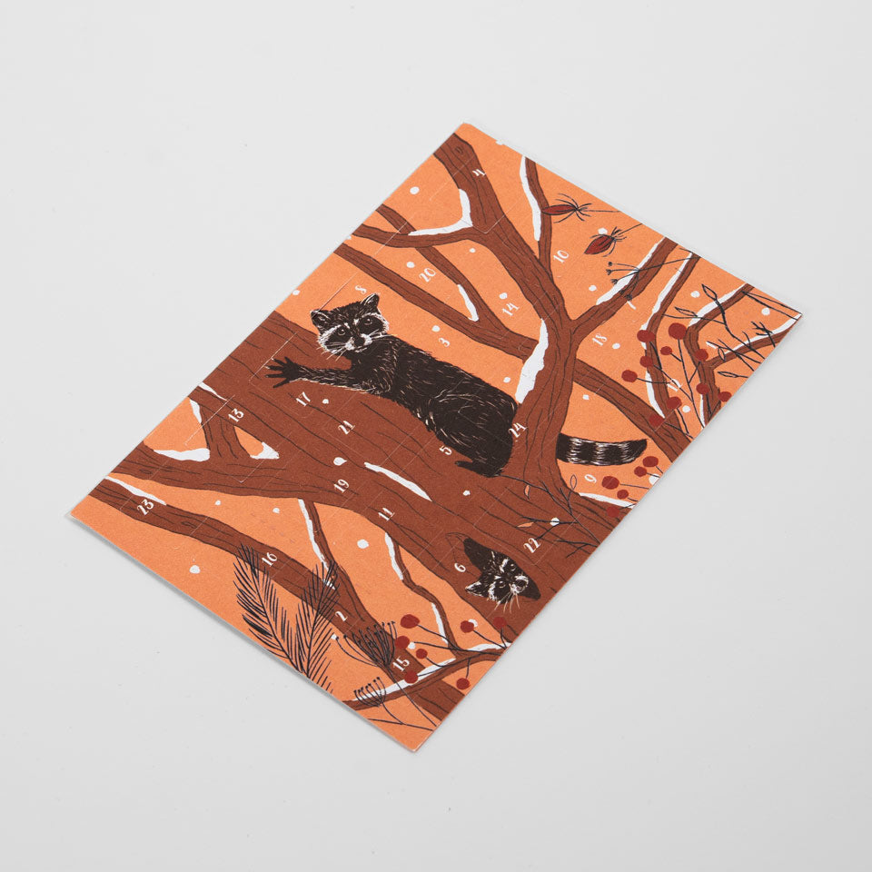 Postkarte Adventskalender Waschbären