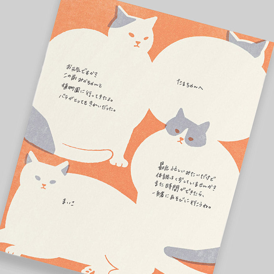 Katzen Set Briefpapier mit Umschlägen